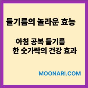 들기름의 효능
