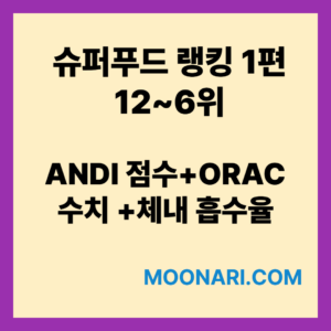 슈퍼푸드 랭킹