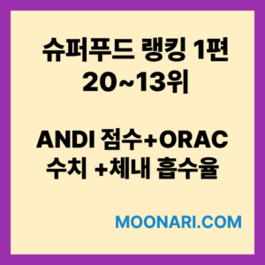 슈퍼푸드 랭킹