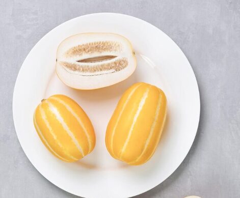 참외 반절사진