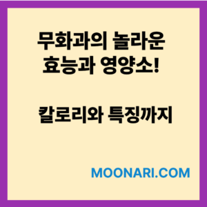 무화과 효능