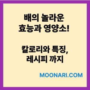 배의효능