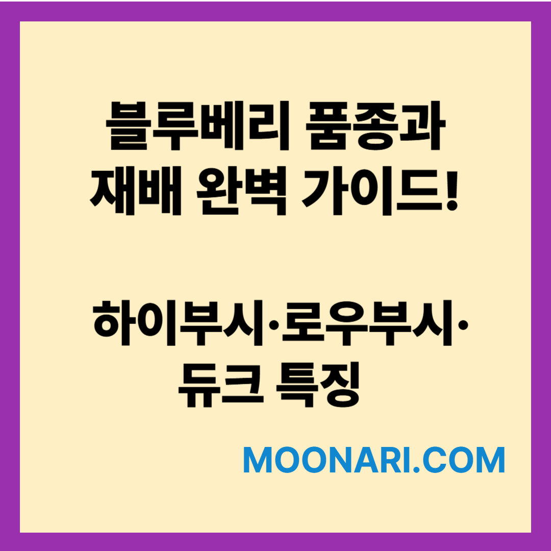 블루베리 품종