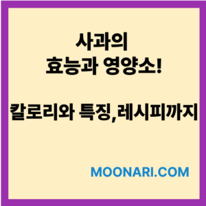 사과의 효능