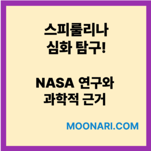 스피룰리나 심화