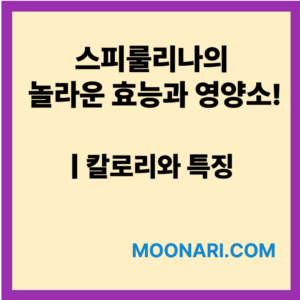 스피룰리나 효능