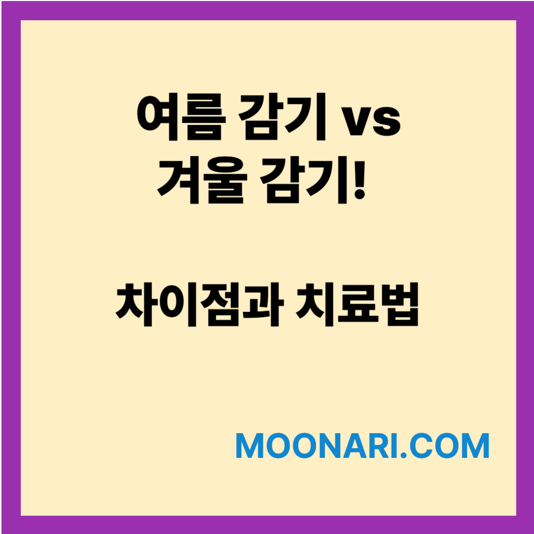 여름감기 겨울감기