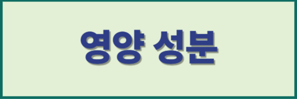 영양 성분