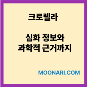 크로렐라 과학적근거