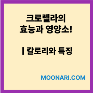 크로렐라 효능