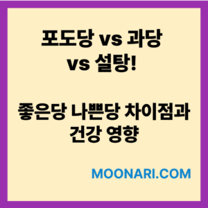 포도당vs과당vs설탕
