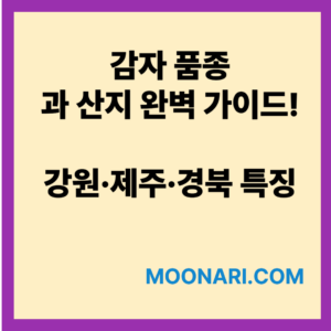 감자 품종
