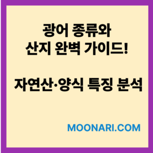 광어 종류