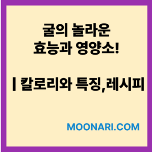 굴의 효능