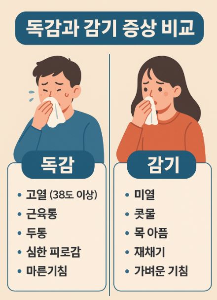 독감증상