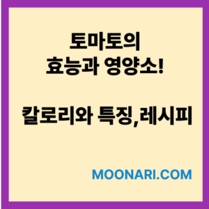 토마토 효능