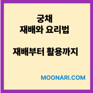 궁채 재배