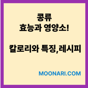 콩류의 효능