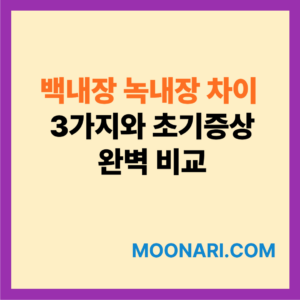 백내장 녹내장 차이