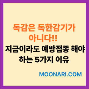 독감 감기 차이