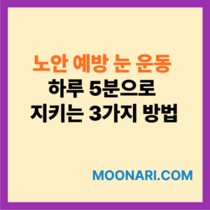 노안 예방 눈 운동