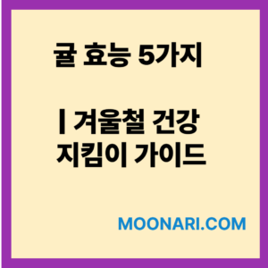 귤 효능
