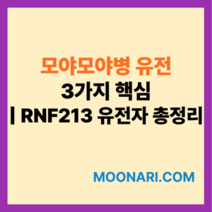 모야모야병 유전