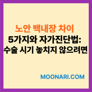 노안 백내장 차이