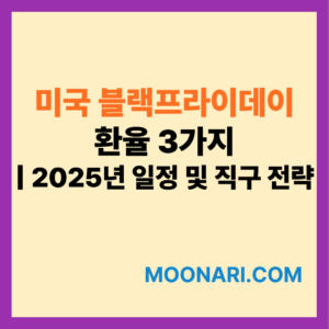 미국 블랙프라이데이 환율