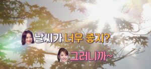 햇살과 나뭇잎이 아름다워요