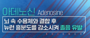 아데노신