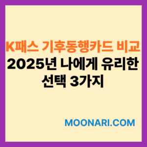 K패스와 기후동행카드
