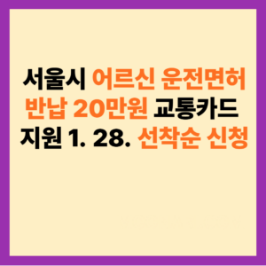 서울시 어르신 운전면허 반납