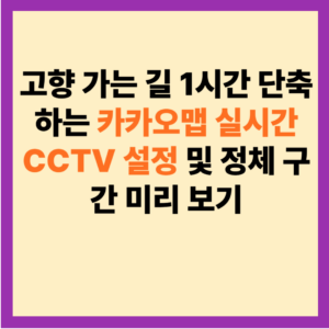 카카오맵 실시간 CCTV