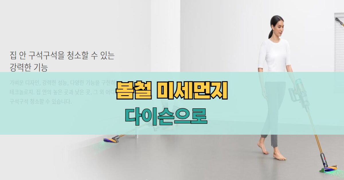 다이슨 청소기