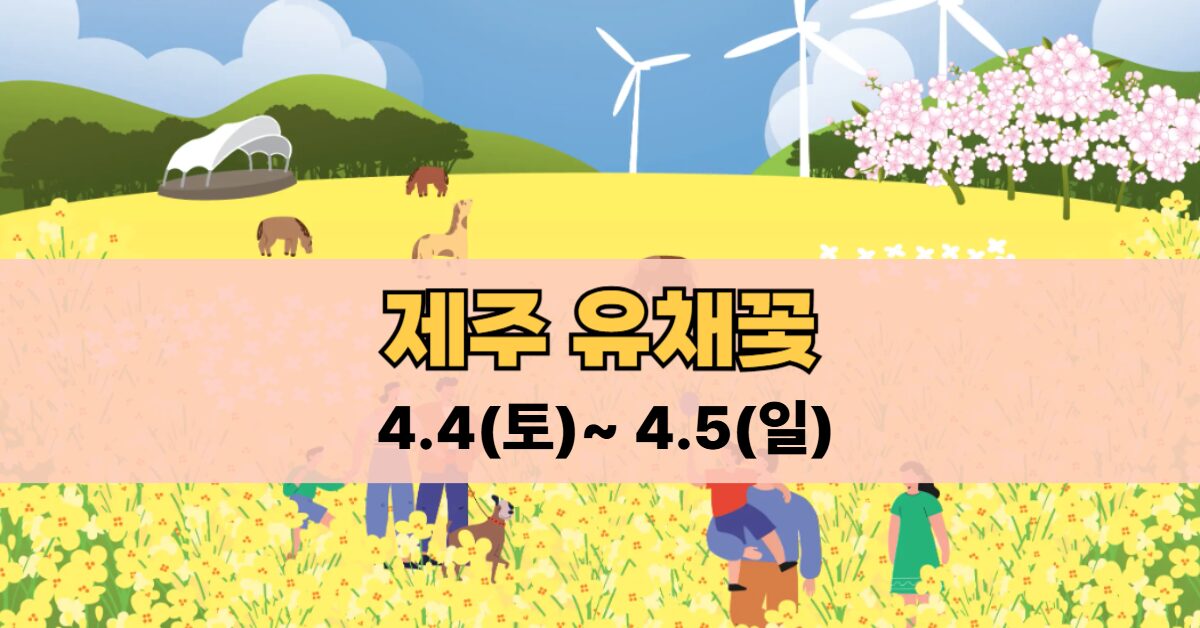 제주 유채꽃축제