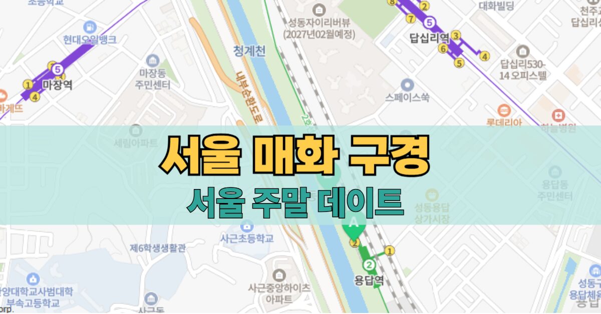 서울 하동매실거리