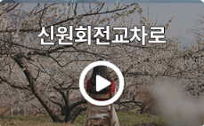 신원회전교차로 cctv