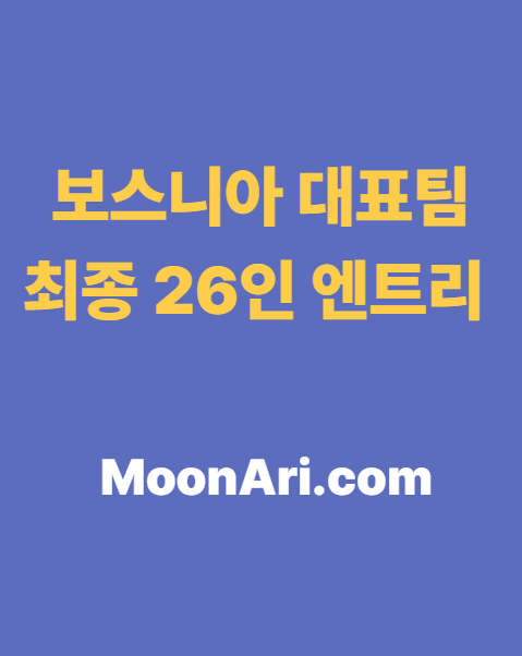 보스니아 대표팀