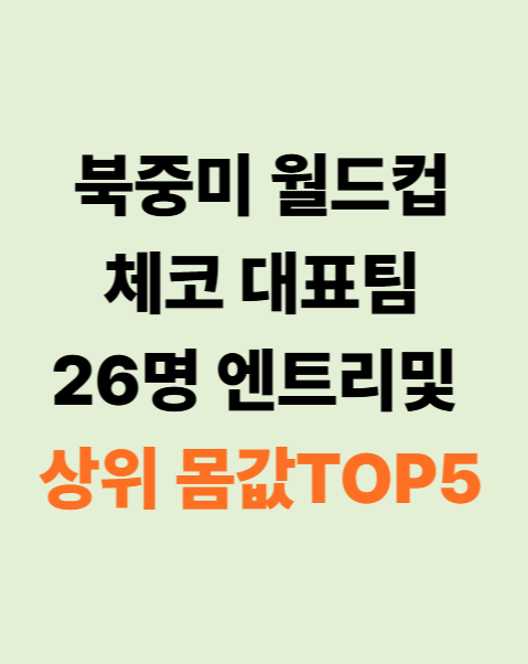체코 대표팀