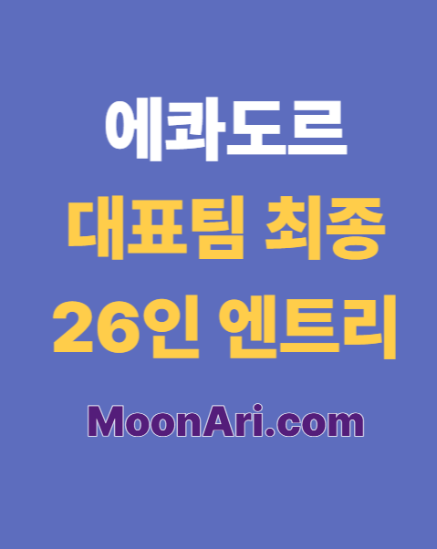 에콰도르 대표팀