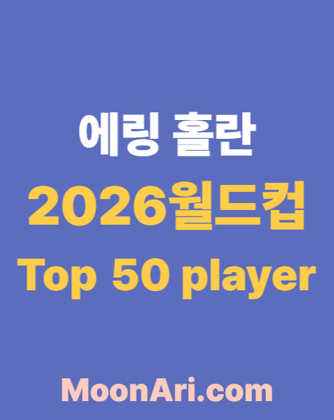 에링 홀란