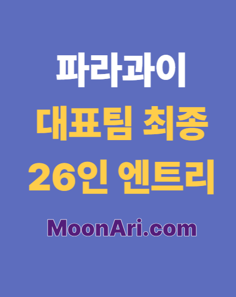 파라과이 대표팀