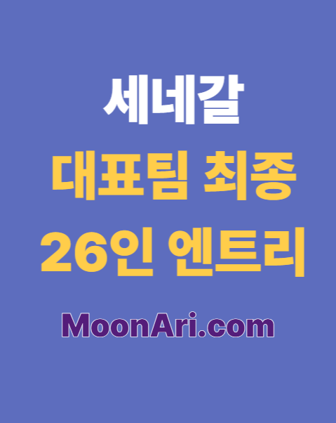 세네갈 대표팀