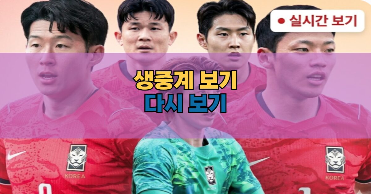 축구 중계