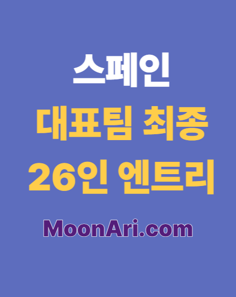 스페인 대표팀