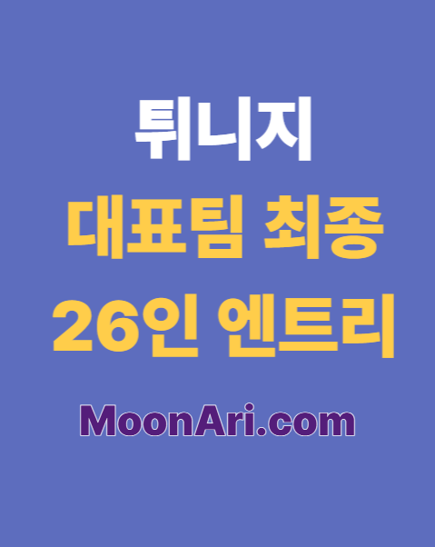튀니지 대표팀