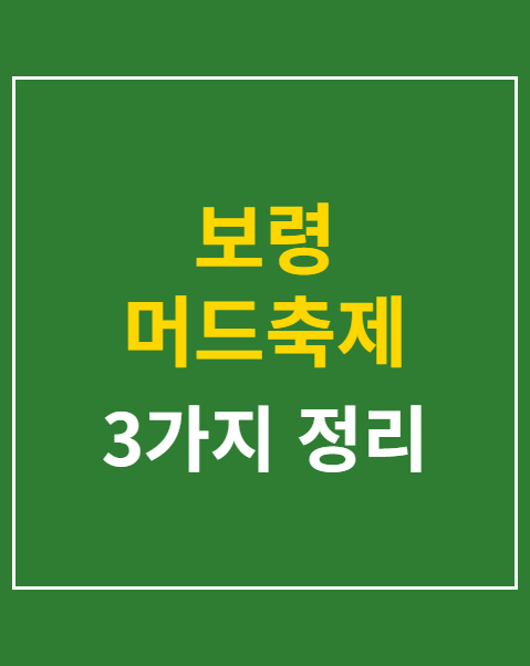 보령 머드축제 예매
