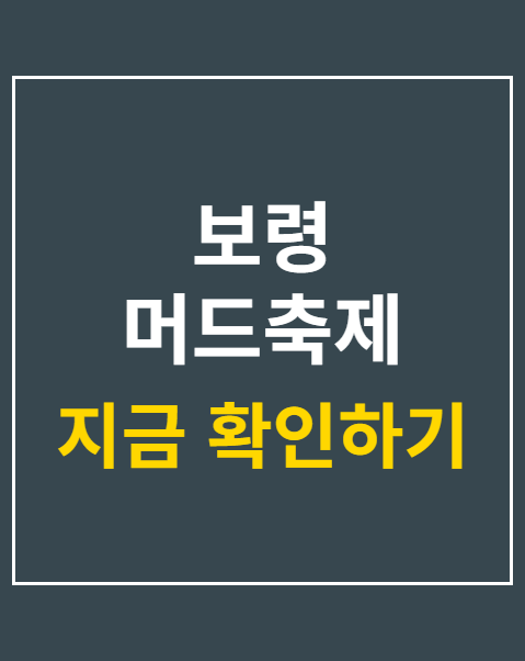 보령 머드축제 숙소 추천