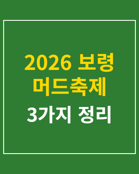 2026 보령 머드축제